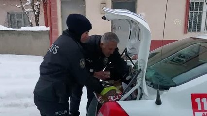 Gümüşhacıköy'de polis ekiplerinden sokak hayvanlarına mama desteği