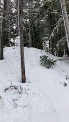 Sledder Takes a Spill into Snow