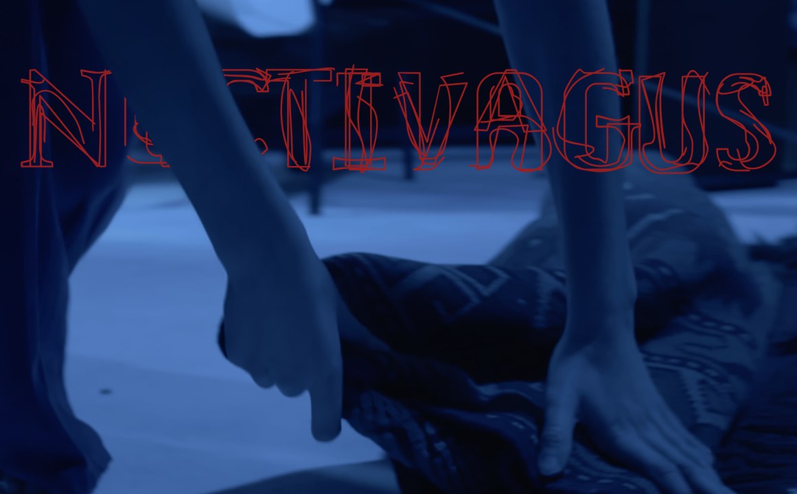 Noctivagus