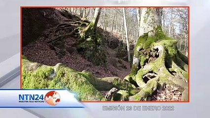 CÁPSULA EFECTO NAÍM - 26 de ENERO de 2022