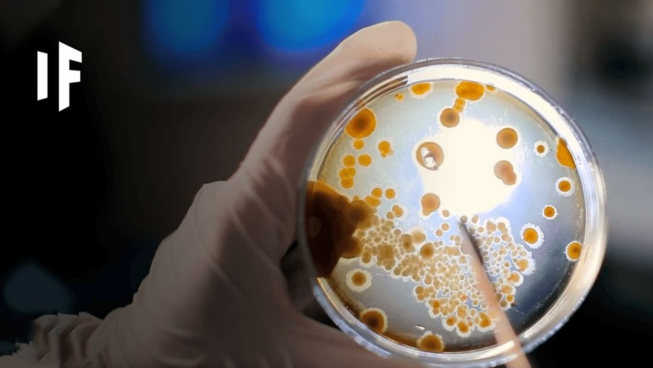 What If You Didn't Wash Your Hands for a Year?