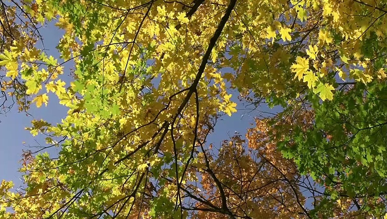 Faites de beaux rêves