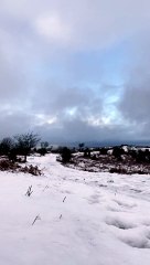 Jumping into the Snow Doesn't Go as Planned