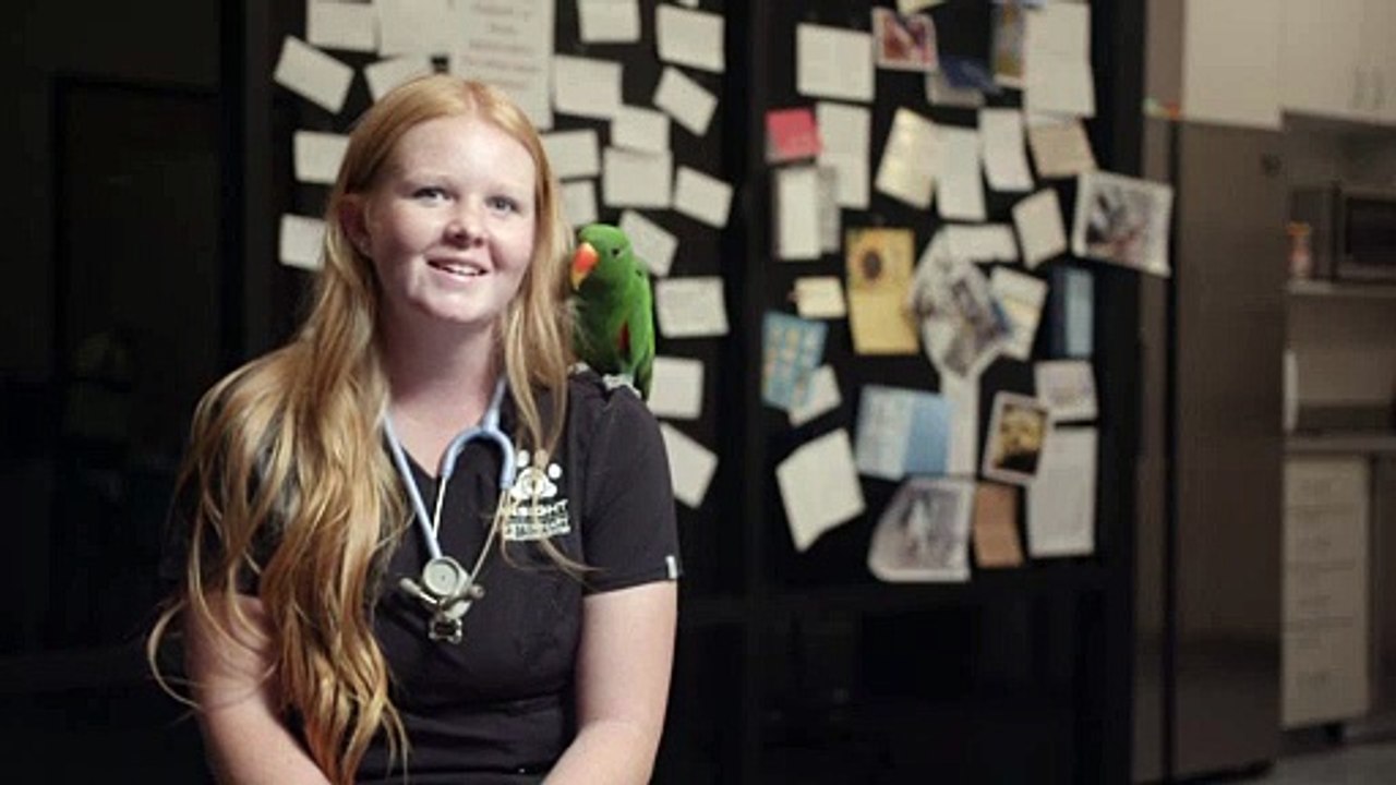 Exotic Veterinary Care in El Dorado Hills, CA | Insight Veterinary Wellness Center