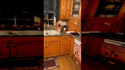 Dog Keeps Kitty Off Counter