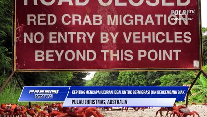 BERWISATA MELIHAT EKOSISTEM KEPITING MERAH  DI PULAU CHRISTMAS AUSTRALIA