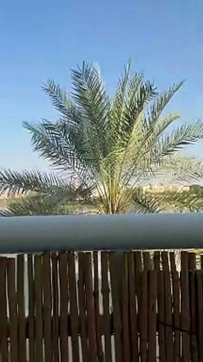 Preview to new episode about Jumeirah Heights Dubai