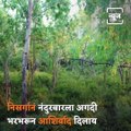 Travel Diary: Panbara Bhuicot Gadhi, The Hidden Place Of Nandurbar