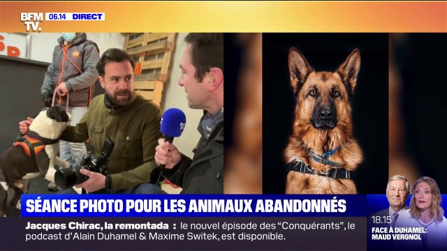 Ce photographe réalise de jolis portraits d'animaux abandonnés pour qu'ils trouvent de nouveaux propriétaires