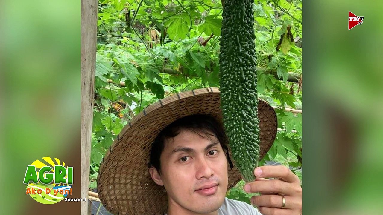 Quality Seeds