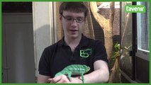 A 20 ans, Boris est éleveur de reptiles