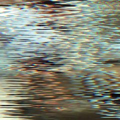 ไหงเป็นงั้น ? หนุ่มโรงงานให้อาหารปลา ตอนแรกคิดว่าใจบุญ แต่ที่ไหนได้...