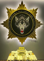 MALATYA'DA 4 KİLO 350 GRAM SKUNK ELE GEÇİRİLDİ; 1 GÖZALTI