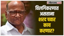 शरद पवार यांना करोनाची लागण, शरद पवार काय करतायत सुप्रिया सुळेंनी दिली माहिती