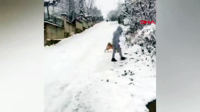 Kızakla kayarken ağaca çarptı