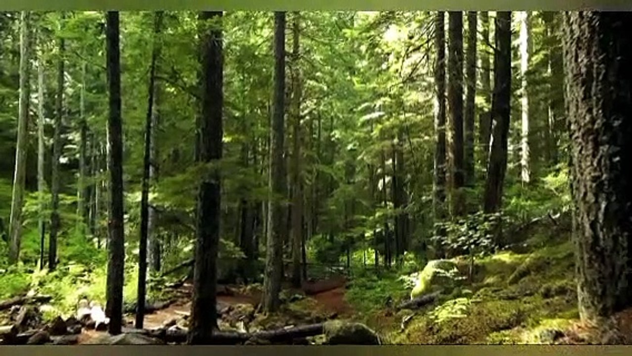 Importance of belief of Khatm-e-Nabuwat