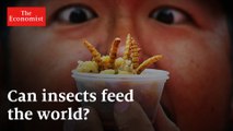 How to Change the World: Will you be eating insects soon?