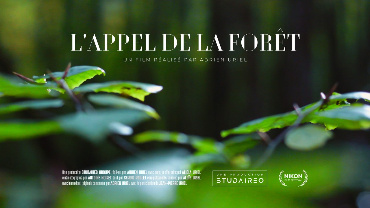 L'appel de la forêt