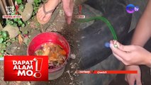 Dapat Alam Mo!: Biogas, mainam na gamit sa pagluluto?