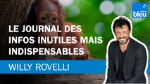 Le journal des infos inutiles mais indispensables - Le billet de Willy Rovelli