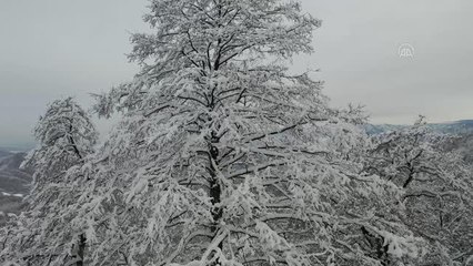 Giresun'da kar yağışı