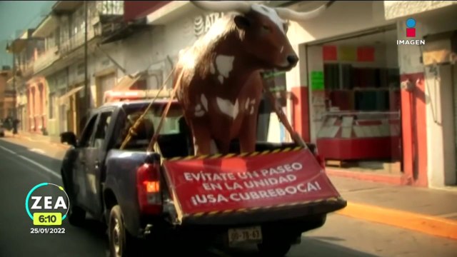 Con un buey exhortan a usar el cubrebocas en Orizaba, Veracruz