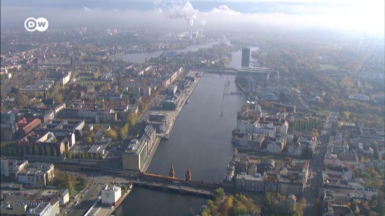 'Bäume sind die wahren Herrscher auf dieser Welt'