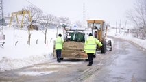 Tuzla'da kar temizleme çalışmaları