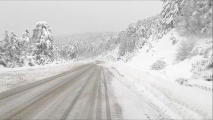Demirci'de yaban hayvanları için doğaya yiyecek bırakıldı