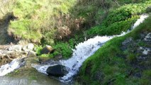 WONDERFUL SCENE OF WATERFALS THROUGH ROCKS AND FOREST