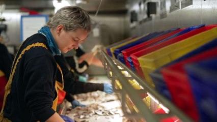 Έρευνες αλιείας: Η επιστήμη πίσω από τις ποσοστώσεις αλιείας