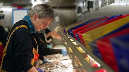 El secreto de la sostenibilidad de la pesca está en el fondo del mar
