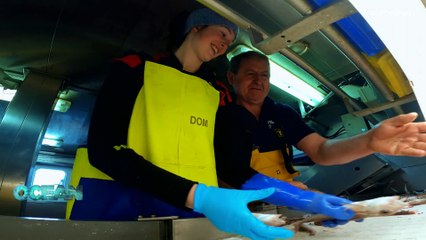 Исследование рыбных запасов европейских морей