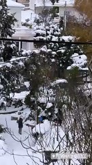 Μαρία Κορινθίου: Περήφανη μαμά - Η κόρη της παίζει χιονοπόλεμο και εκείνη την απαθανατίζει