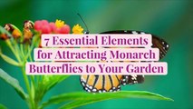7 Essential Elements for Attracting Monarch Butterflies to Your Garden