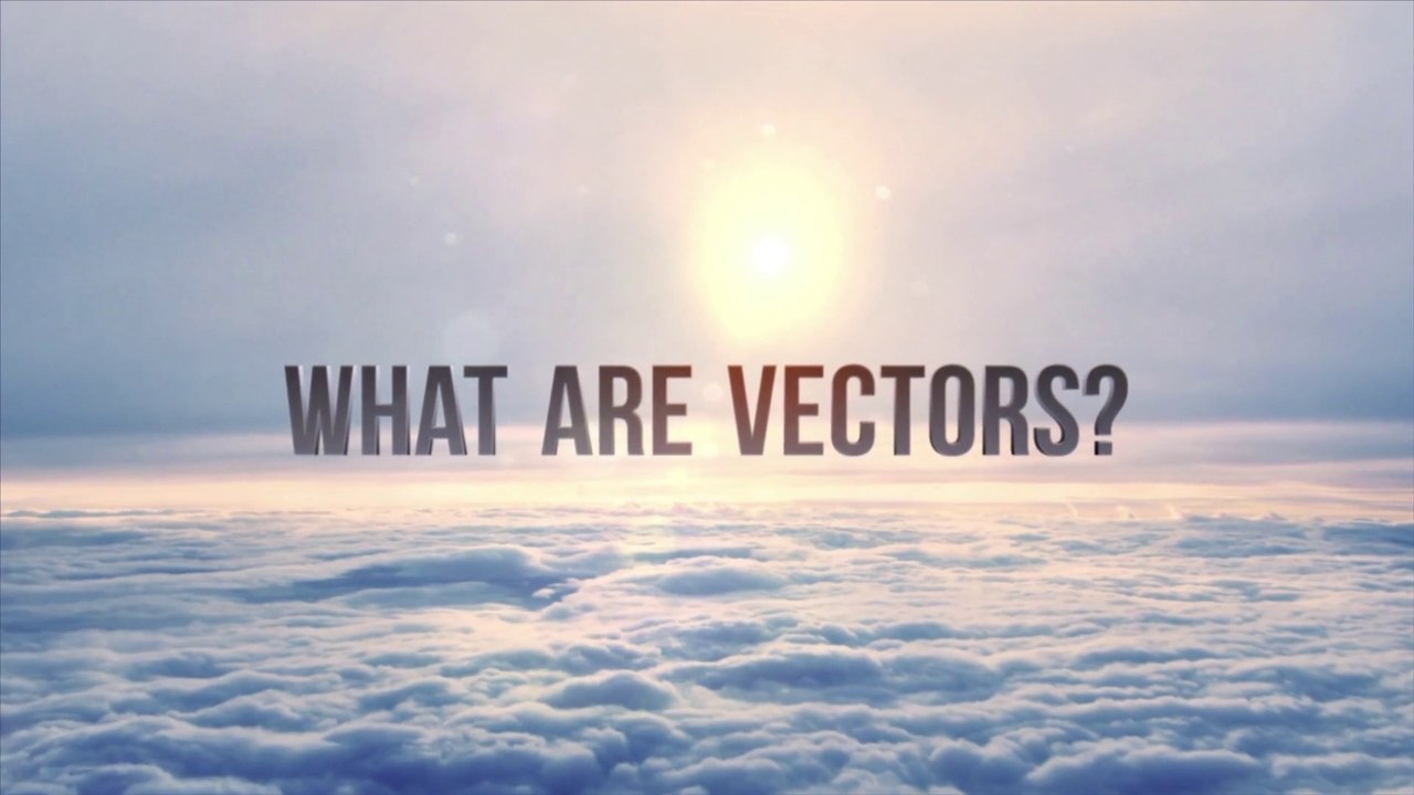 What Are Vectors?