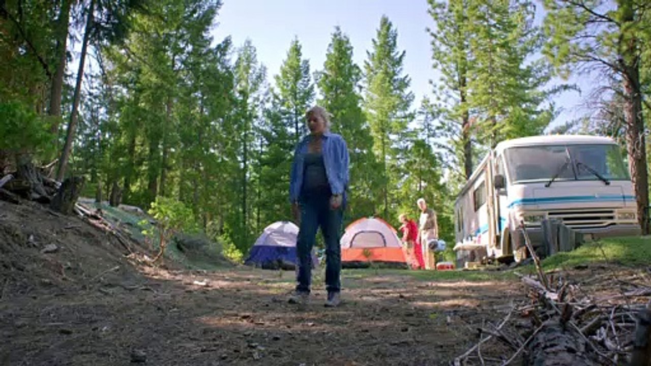 In the Forest - Official Trailer