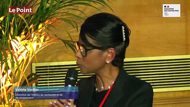 Les Outre-mer : le nouvel eldorado des innovateurs ?