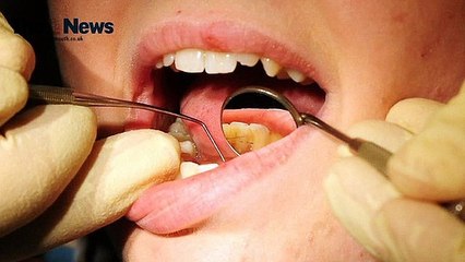 WATCH: The Portsmouth News bulletin for Tuesday 25th  January, 2022