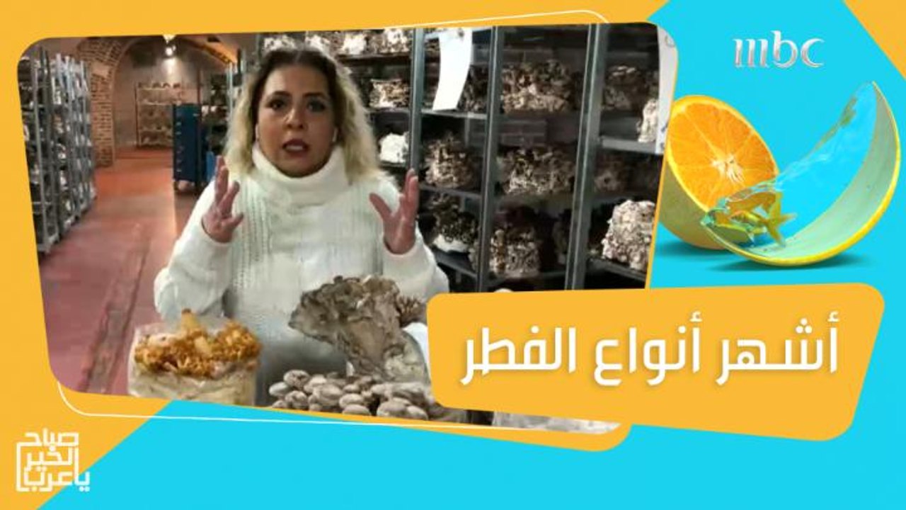 مزرعة مستدامة لزراعة الفطر بأنواعه المختلفة في بروكسل!