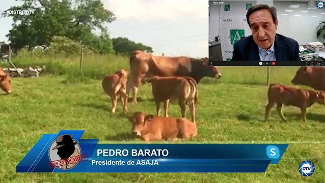 Pedro Barato: Campo español tiene muchos problemas, salario mínimo y reformas, exigencias para producir