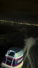 Sea Lion Follows for Snack