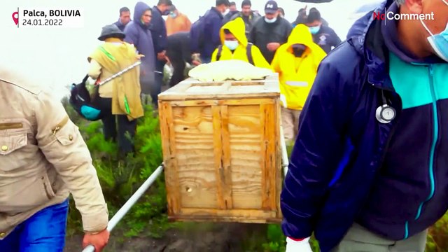 Bolivia releases condor into Andean region