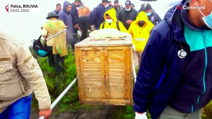 Bolivia releases condor into Andean region
