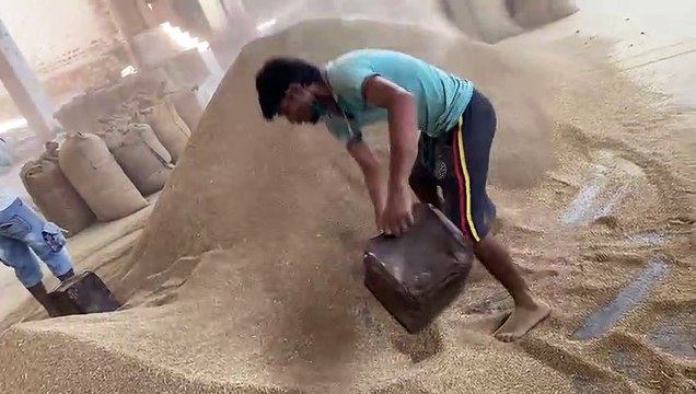 JODHPUR KRISHI MANDI BHAV -जीरा, ग्वार-गम में तेजी