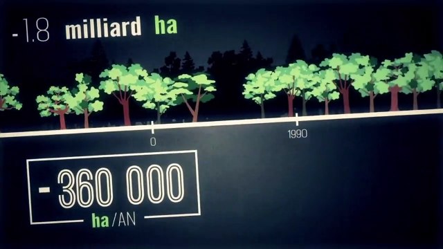 Data Gueule Saison 4 - Déforestation : le chant des scies règne (EN)