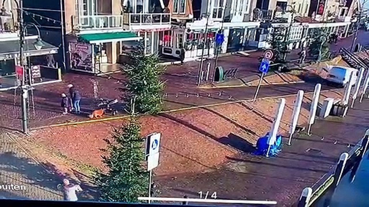 Un papa lâche sa poussette et la laisse tomber involontairement dans un lac !