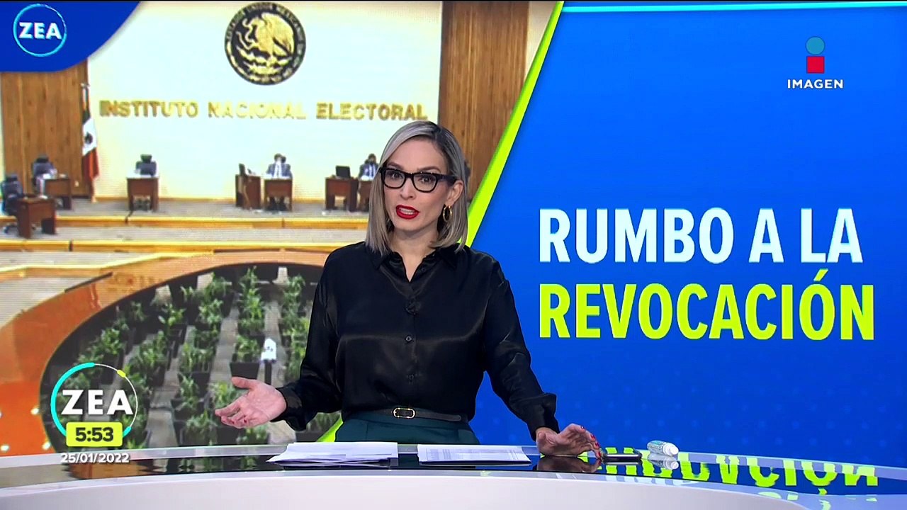 Revocación de mandato