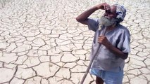 Maharashtra: 2,500 farmers die by suicide in 11 months