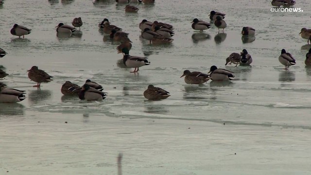Il lago Balaton ghiacciato, uno spettacolo che forse non vedremo più
